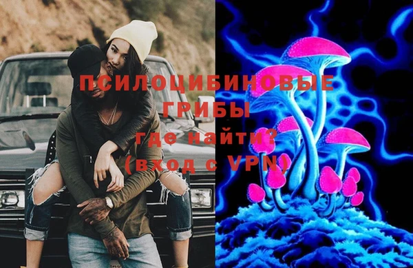 мдпв Иннополис