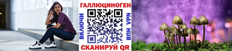 Купить где  Ленинск  Галлюциногенные грибы мухоморы 